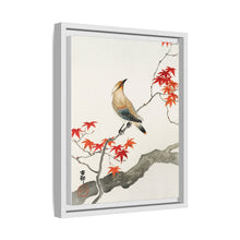 Japanese plague bird on maple (1900 - 1936) by Ohara Koson