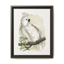 Great White-Crested Cockatoo (Cacatua alba) colored wood-engraved plate by Alexander Francis Lydon - NOMADEN ART GALLERY
