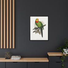 Barraband's Parakeet (Polytelis swainsonii) colored wood-engraved plate by Alexander Francis Lydon