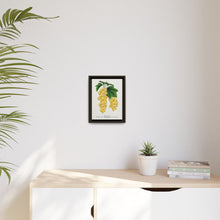 White Grape Lithograph | Vintage Botanical Wall Art Print
