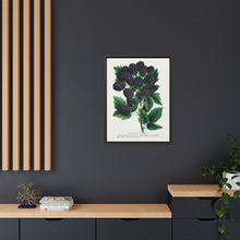 Wachusett Blackberry Lithograph | Vintage Botanical Wall Art