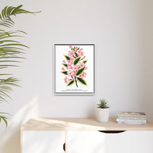 Pink flowers, Weigela lithograph (1900)