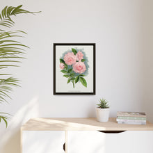 Pink rose, Clothilde Soupert lithograph. Digitally enhanced from our own original 1900 edition plates of Botanical Specimen published by Rochester Lithographing
