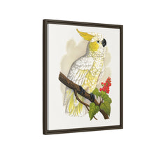Kleiner Zitronenhaubenkakadu (Cacatua sulphurea) farbige Holzstichplatte von Alexander Francis Lydon