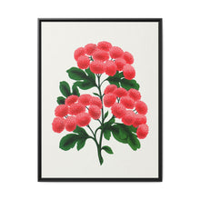 Paul's New Double Flowering Thorn lithograph. Digitally enhanced from our own original 1900 edition plates of Botanical Specimen published by Rochester Lithographing - NOMADEN ART GALLERY