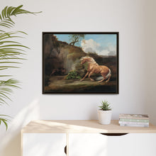 Horse Frightened by a Lion (1762–1768) by George Stubbs