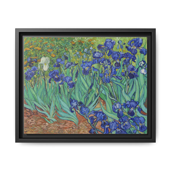 Vincent Van Gogh's Irises (1889). Famous painting, original from the J. Paul Getty Museum. - NOMADEN ART GALLERY