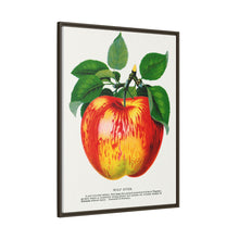 Wolf River Apple Lithograph | Vintage Botanical Wall Art Print