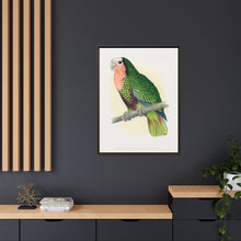 Red-Throated White-Fronted Amazon (Amazona leucocephala) colored wood-engraved plate by Alexander Francis Lydon.