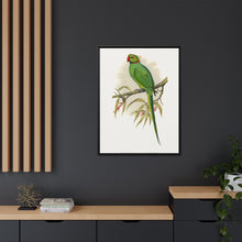 Ring-Necked or Bengal Parakeet (Psittacula columboides) colored wood-engraved plate by Alexander Francis Lydon