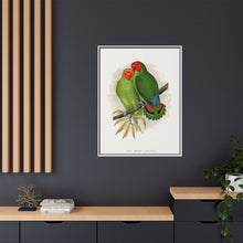 Lydon's West African Love-Bird | Vintage Avian Wall Art Print