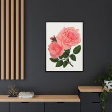 Pink Rose, La France Lithograph (1900)