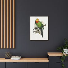 Barraband's Parakeet (Polytelis swainsonii) colored wood-engraved plate by Alexander Francis Lydon