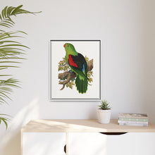 Red-winged parakeet (Aprosmictus erythropterus) colored wood-engraved plate by Alexander Francis Lydon