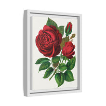 Red Rose, Prince Camille De Rohan Lithograph