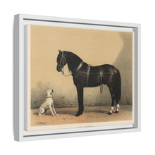 Orloffer (Orloff Horse) by Emil Volkers (1880) - An illustration of a black horse and a white dog - NOMADEN ART GALLERY