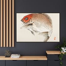 Tai (Red Seabream) fish by Kōno Bairei