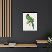 Lydon's Yellow-Naped Parrakeet | Vintage Bird Wall Art Print