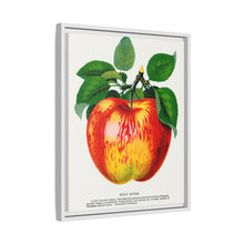 Wolf River Apple Lithograph | Vintage Botanical Wall Art Print