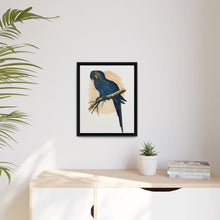 Hyacinthine Macaw (Anodorhynchus hyacinthinus) colored wood-engraved plate by Alexander Francis Lydon.