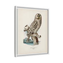 Strix uralensis ♀ illustrated by the von Wright brothers from our own 1929 folio version of Svenska Fåglar Efter Naturen Och Pa Sten Ritade - NOMADEN ART GALLERY