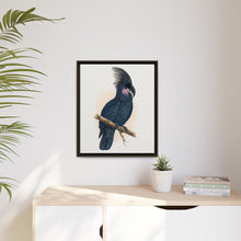 Great Black Cockatoo (Probosciger aterrimus) colored wood-engraved plate by Alexander Francis Lydon