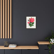 Pink rose, Anna De Diesbach lithograph. Digitally enhanced from our own original 1900 edition plates of Botanical Specimen published by Rochester Lithographing
