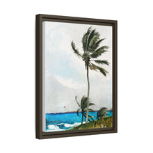 Palm Tree, Nassau (1898) by Winslow Homer
