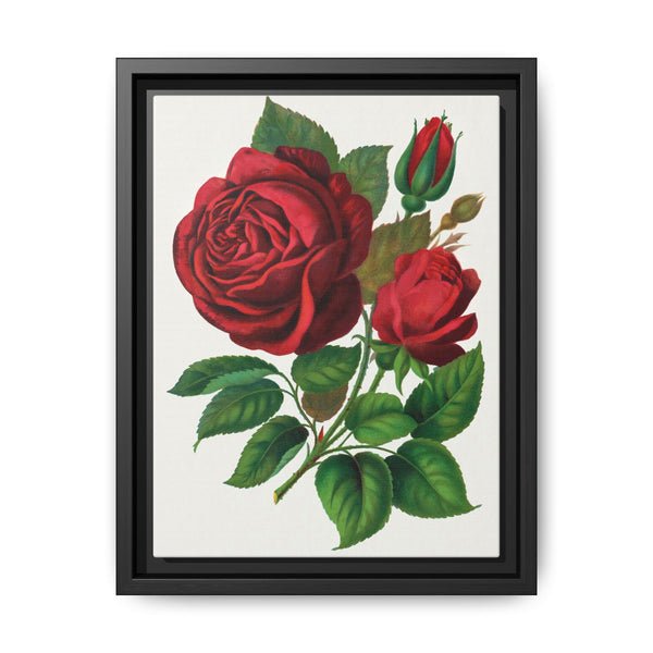 Red Rose, Prince Camille De Rohan Lithograph - NOMADEN ART GALLERY