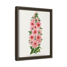 Prunus Triloba flower lithograph. Digitally enhanced from our own original 1900 edition plates of Botanical Specimen published by Rochester Lithographing