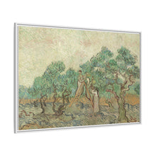 Vincent van Gogh's The Olive Orchard (1889) - NOMADEN ART GALLERY