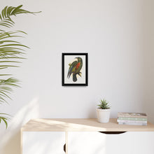 Mountain Parrot (Nestor notabilis) colored wood-engraved plate by Alexander Francis Lydon - NOMADEN ART GALLERY