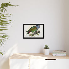 Red-Vented Parrot (Amazona martinicana) colored wood-engraved plate by Alexander Francis Lydon