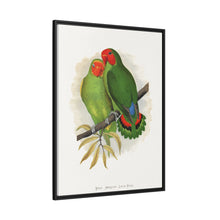 Lydon's West African Love-Bird | Vintage Avian Wall Art Print
