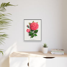 Pink rose, Anna De Diesbach lithograph. Digitally enhanced from our own original 1900 edition plates of Botanical Specimen published by Rochester Lithographing
