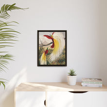 Birds of Paradise: Vintage Natural History Art by Benjamin Fawcett (1808 - 1893)