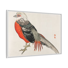 Japanese pheasant by Kōno Bairei (1844-1895)