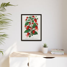 Prunus Triloba flower lithograph. Digitally enhanced from our own original 1900 edition plates of Botanical Specimen published by Rochester Lithographing