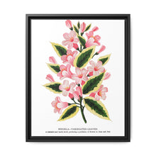 Pink flowers, Weigela lithograph (1900) - NOMADEN ART GALLERY