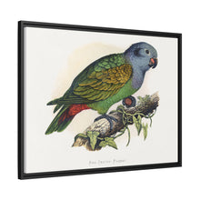 Red-Vented Parrot (Amazona martinicana) colored wood-engraved plate by Alexander Francis Lydon