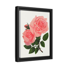 Pink Rose, La France Lithograph (1900) - NOMADEN ART GALLERY