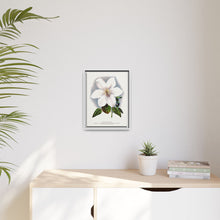 Clematis flower lithograph. Digitally enhanced from our own original 1900 edition plates of Botanical Specimen published by Rochester Lithographing