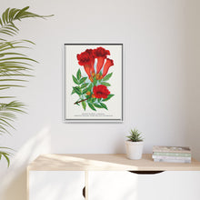 Trumpet flower lithograph. Digitally enhanced from our own original 1900 edition plates of Botanical Specimen published by Rochester Lithographing