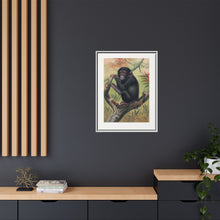 The Chimpanzee from Zoological sketches (1861-1867) by Joseph Wolf and Philip Lutley Sclater.