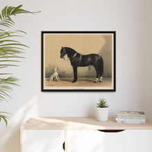 Orloffer (Orloff Horse) by Emil Volkers (1880) - An illustration of a black horse and a white dog - NOMADEN ART GALLERY