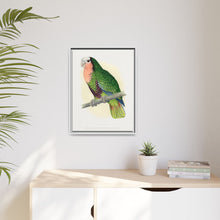 Red-Throated White-Fronted Amazon (Amazona leucocephala) colored wood-engraved plate by Alexander Francis Lydon.