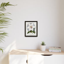 Clematis flower lithograph. Digitally enhanced from our own original 1900 edition plates of Botanical Specimen published by Rochester Lithographing
