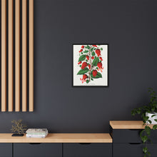 Prunus Triloba flower lithograph. Digitally enhanced from our own original 1900 edition plates of Botanical Specimen published by Rochester Lithographing