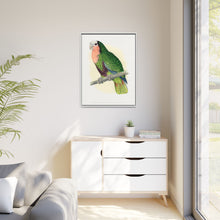 Red-Throated White-Fronted Amazon (Amazona leucocephala) colored wood-engraved plate by Alexander Francis Lydon.