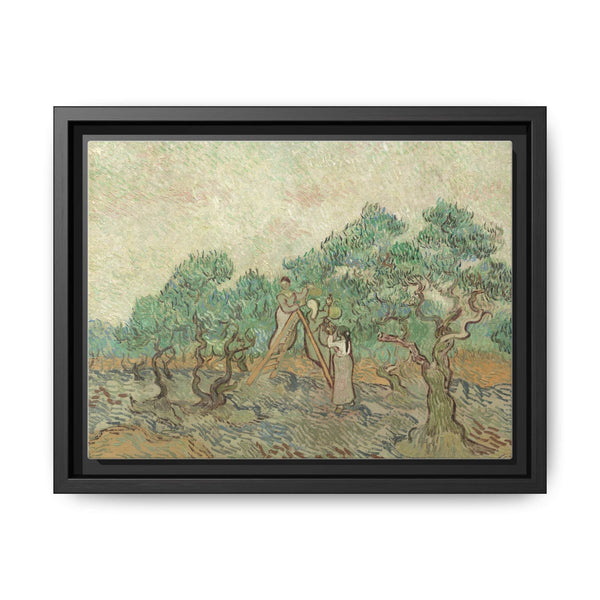 Vincent van Gogh's The Olive Orchard (1889) - Historical Art Canvas Print - NOMADEN ART GALLERY